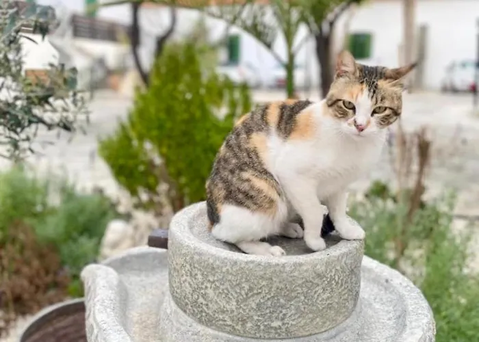 The Courtyard Episkopi